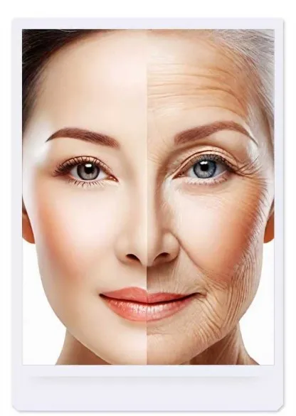 info-416-585 info-416-585